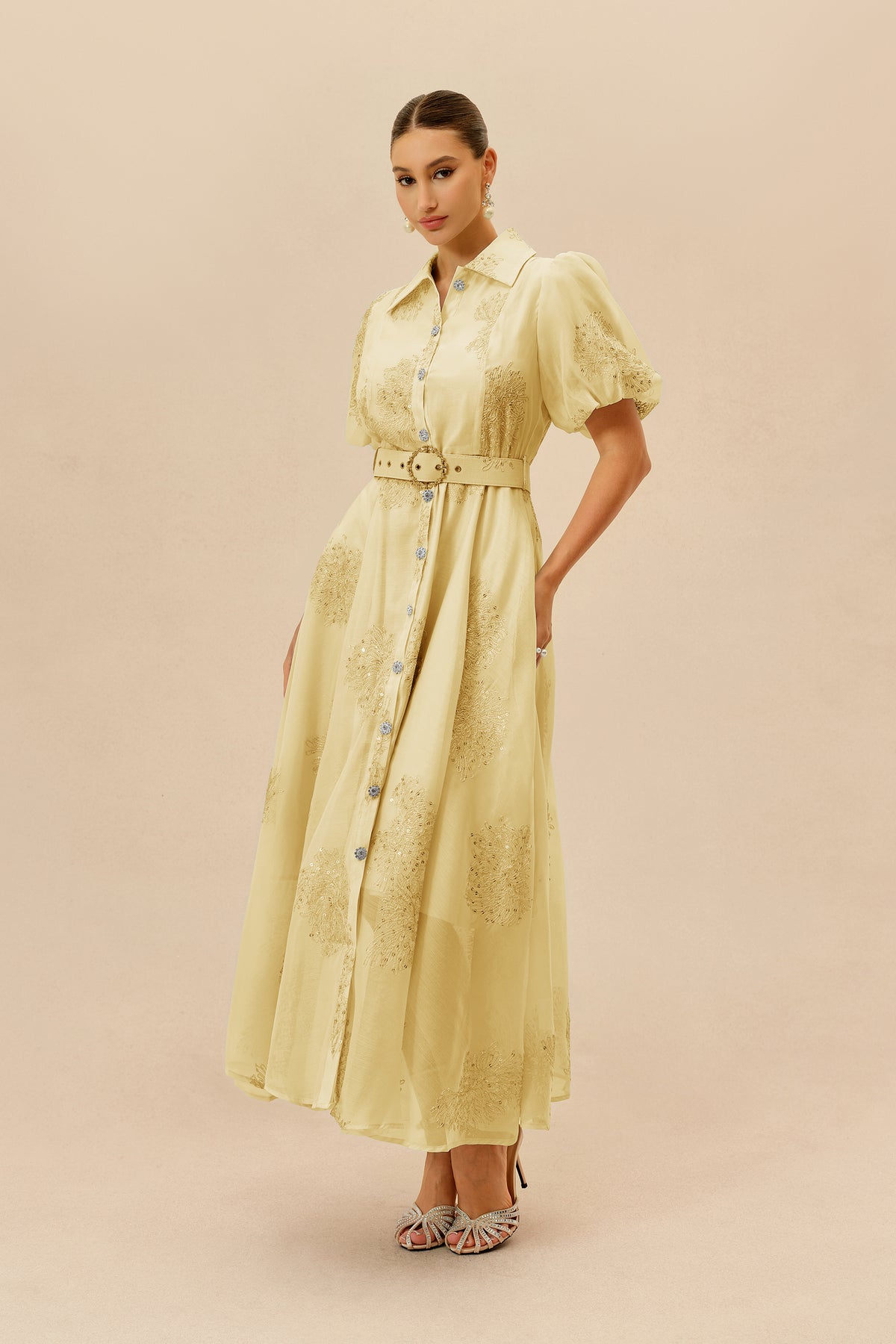 Terylene Embroidered Puff Sleeve Maxi Dress - 5