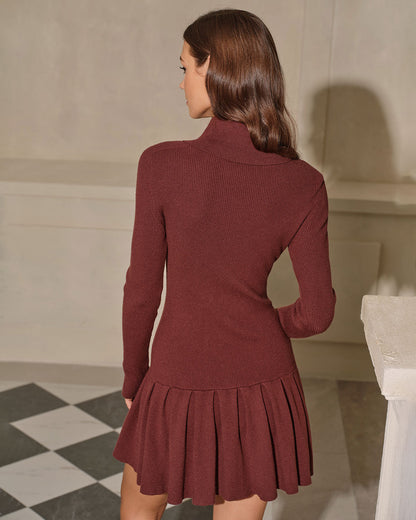 Coffee Ribbed Knit Turtleneck Mini Dress - view 4