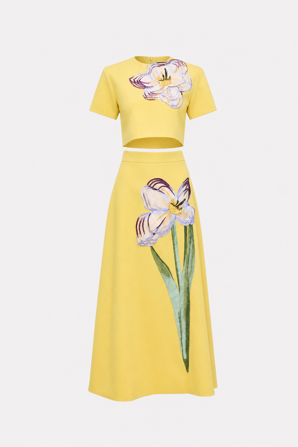 Floral Applique Crop Top and A-Line Skirt Set - view 6