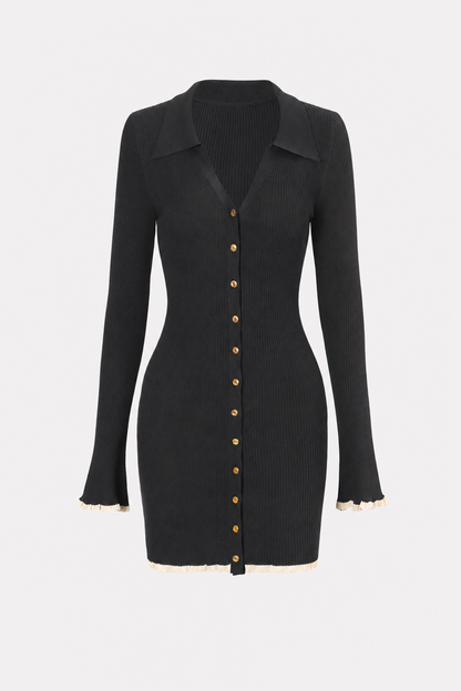 Black V-Neck Long Sleeve Mini Dress