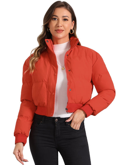 Padded Cropped Bomber Jacket With Stand Collar - view 6