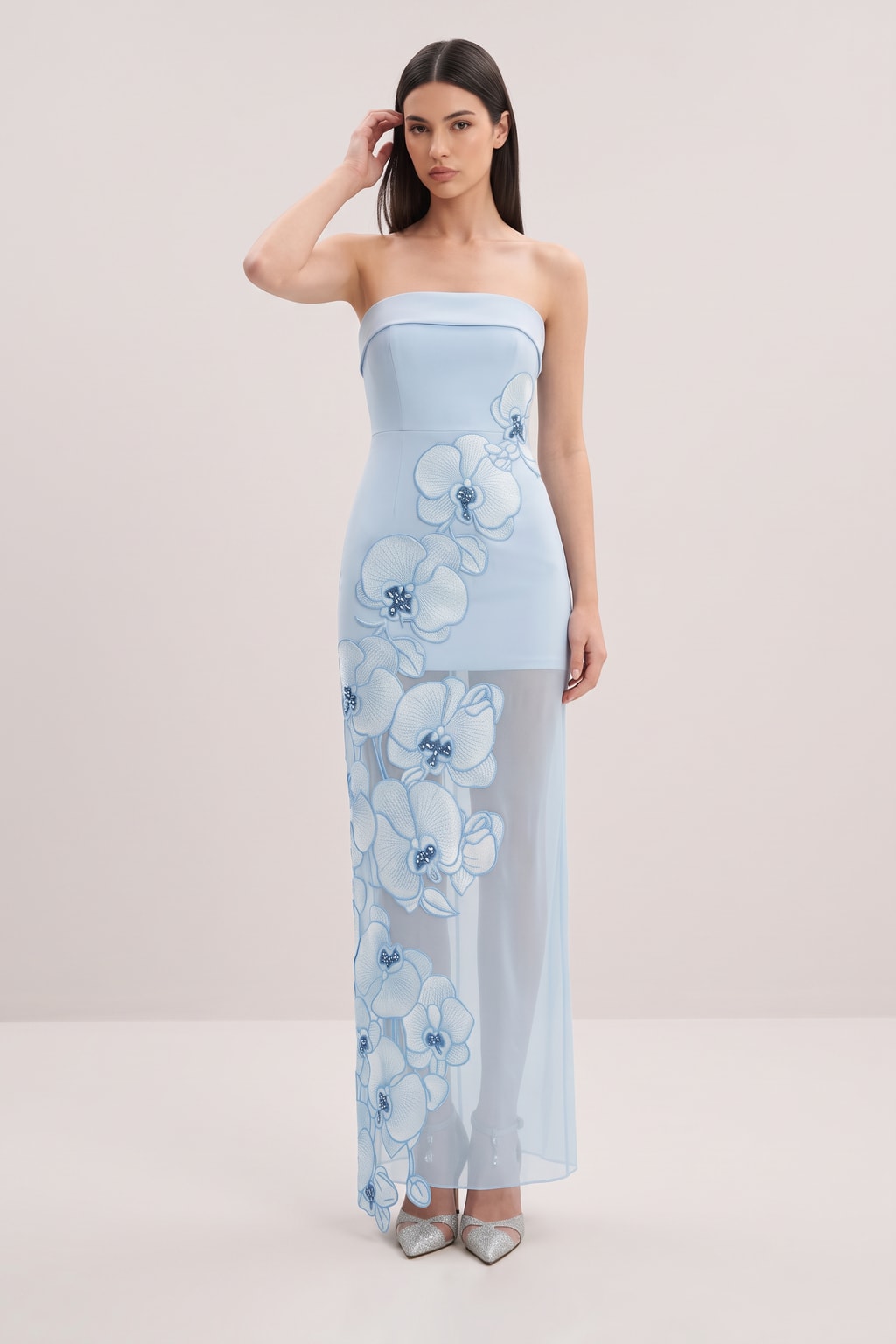 Mesh Maxi Dress With Floral Embroidery - 5