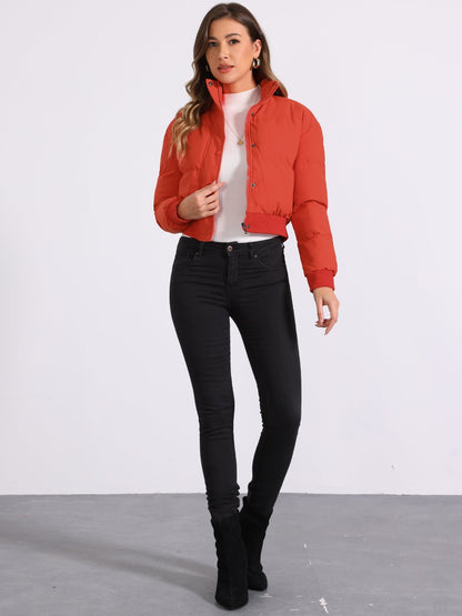 Padded Cropped Bomber Jacket With Stand Collar - view 3