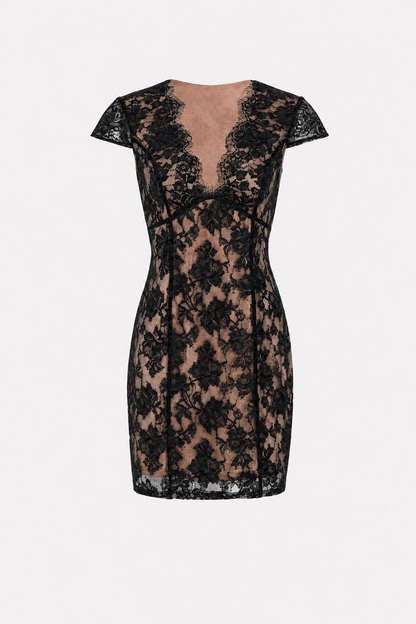 Black Floral Lace V-Neck Sheath Mini Dress