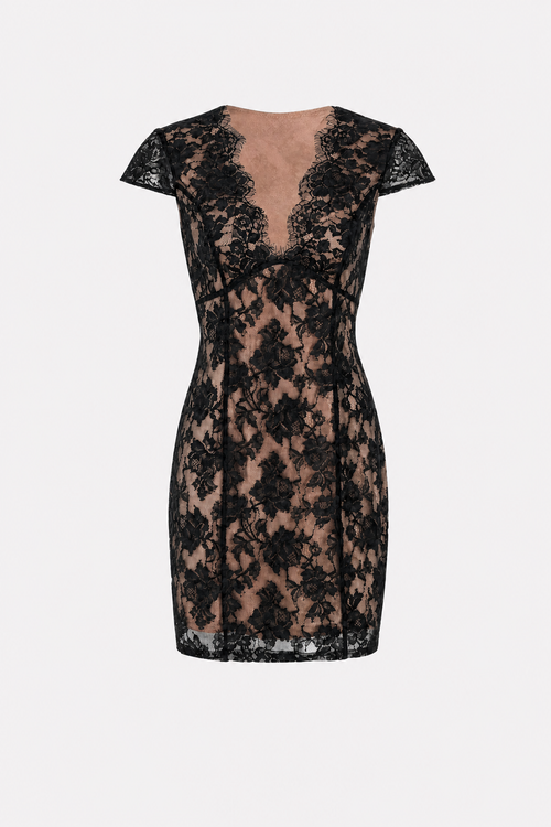 Black Floral Lace V-Neck Sheath Mini Dress