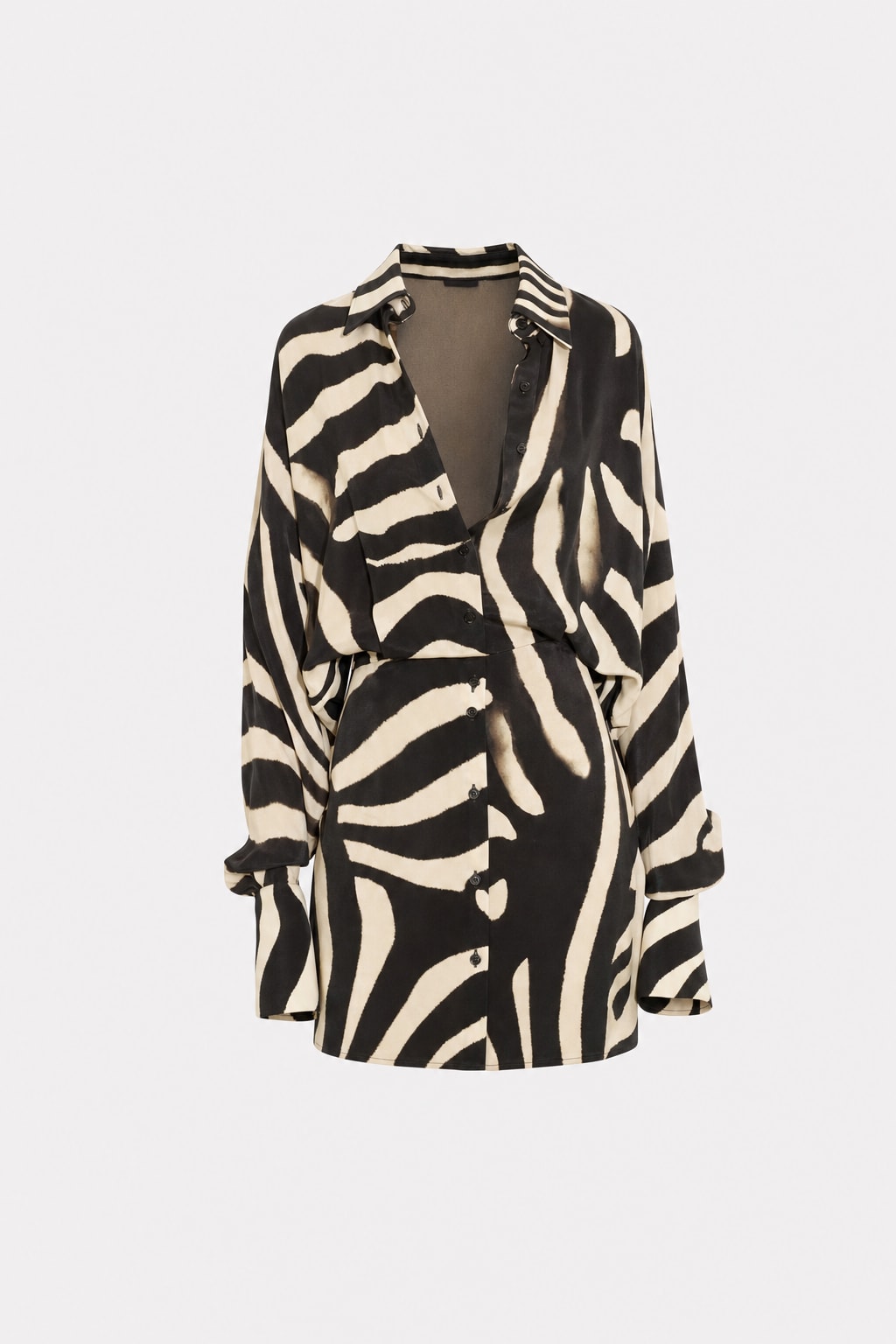 Zebra Print Long Sleeve Mini Dress - 1