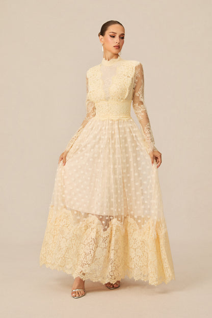 Polka Dot Embroidered Lace Maxi Dress - view 5