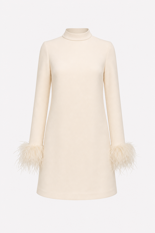 Feather Trim Sleeve Mini Dress