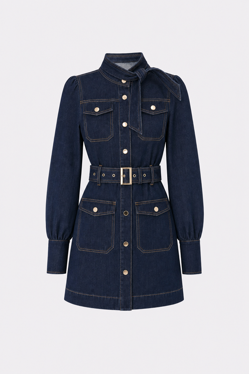 Denim Button-Front Belted Mini Dress