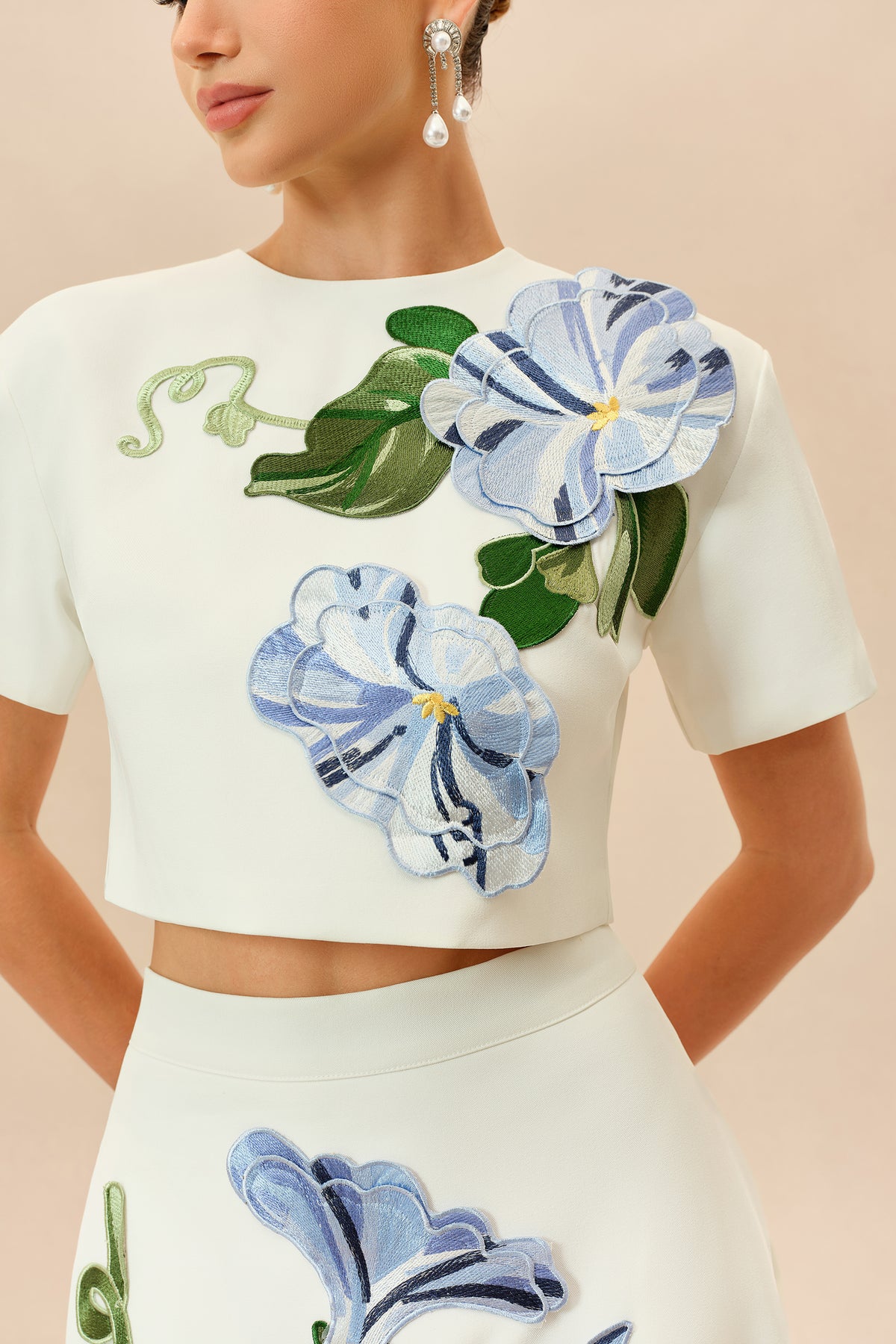 Floral Applique Cropped Top and Maxi Skirt Set - view 3