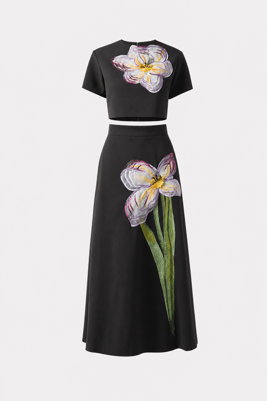 Floral Applique Crop Top and A-Line Skirt Set - view 7