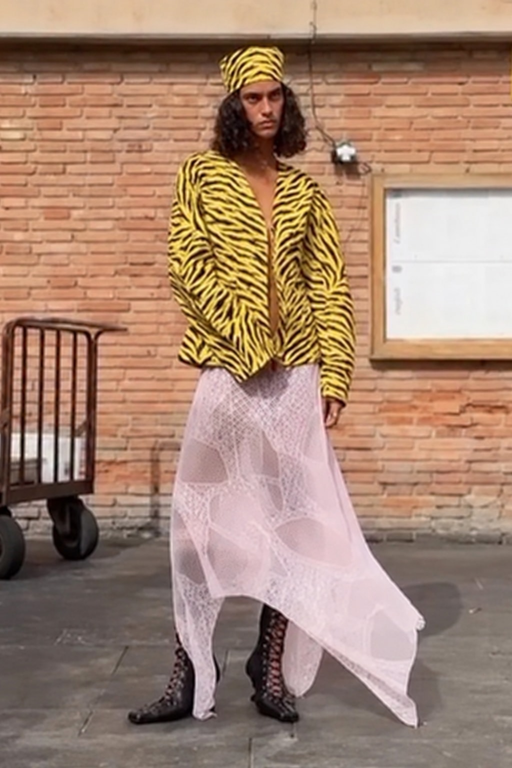 Jacket Cropped Tiger Print Stand Collar - 8