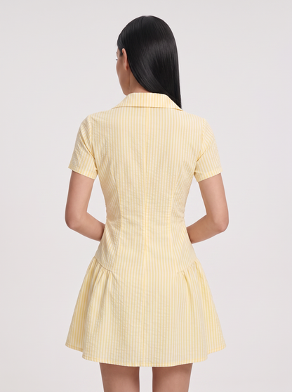 Striped V-Neck Short Sleeve Mini Dress - view 5