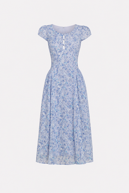 Blue Floral A-Line Button-Front Midi Dress
