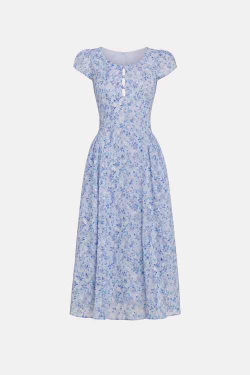 Blue Floral A-Line Button-Front Midi Dress