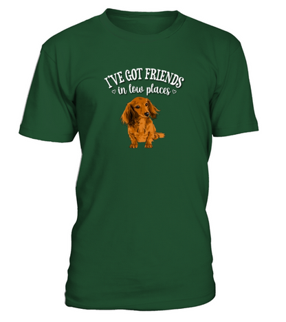 Long Haired Dachshund T-Shirt - Green Bottle
