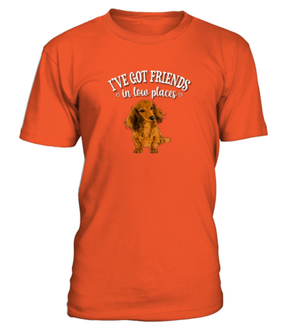 Long Haired Dachshund T-Shirt - Orange