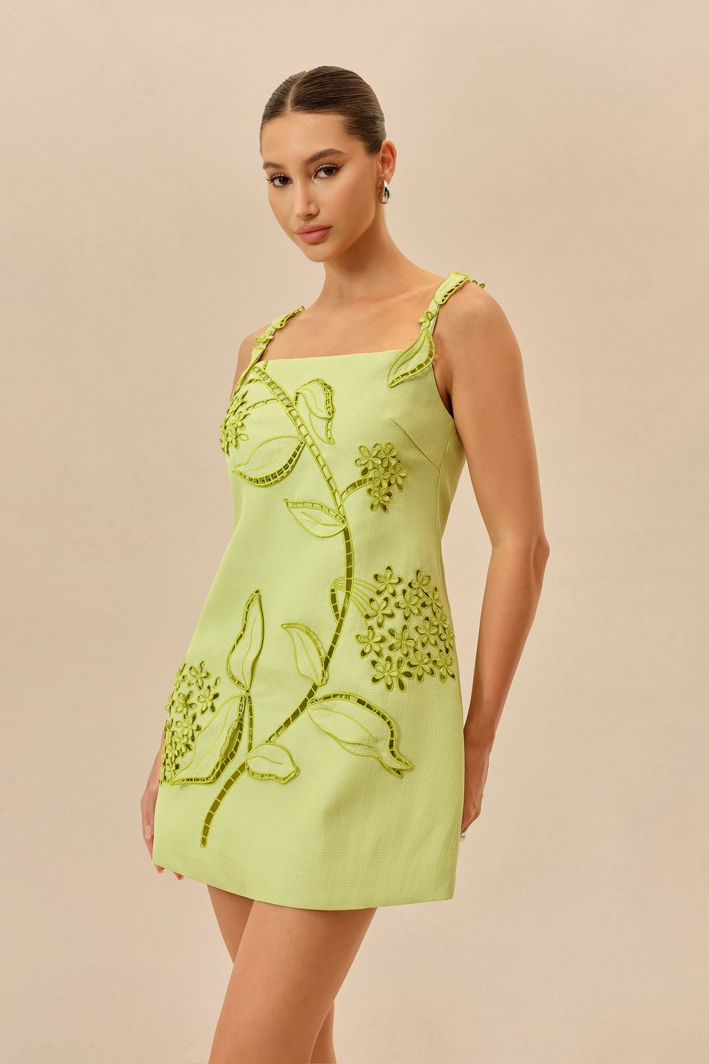 Floral Embroidered Sleeveless A-Line Mini Dress - 3