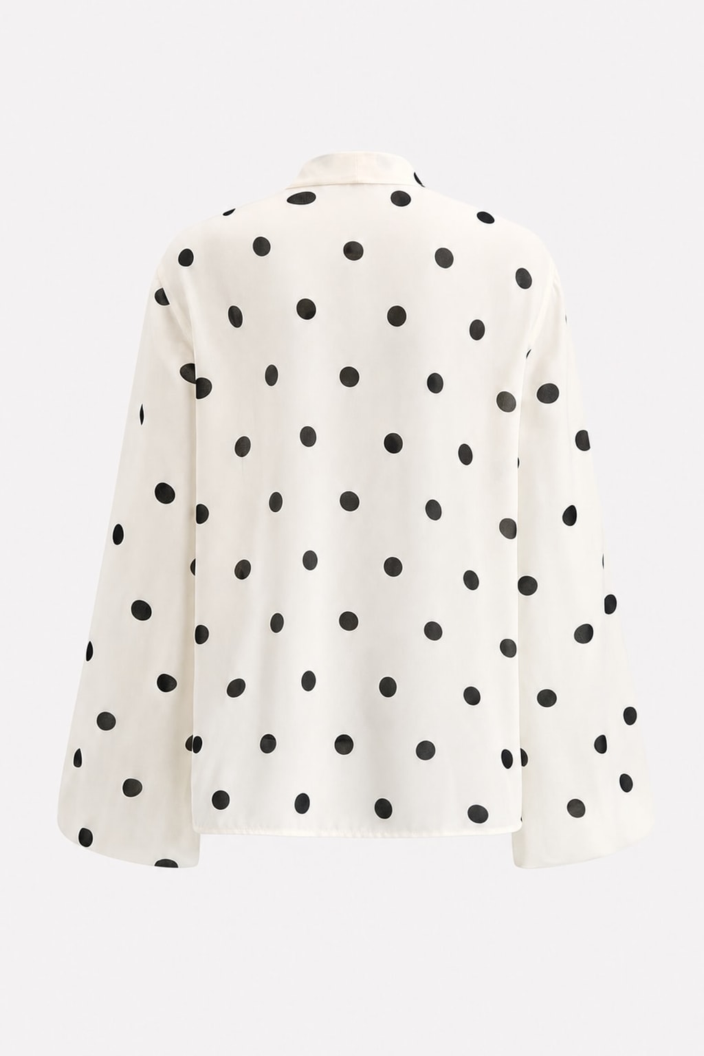 Chiffon Polka Dot Lantern Sleeve Blouse - 5