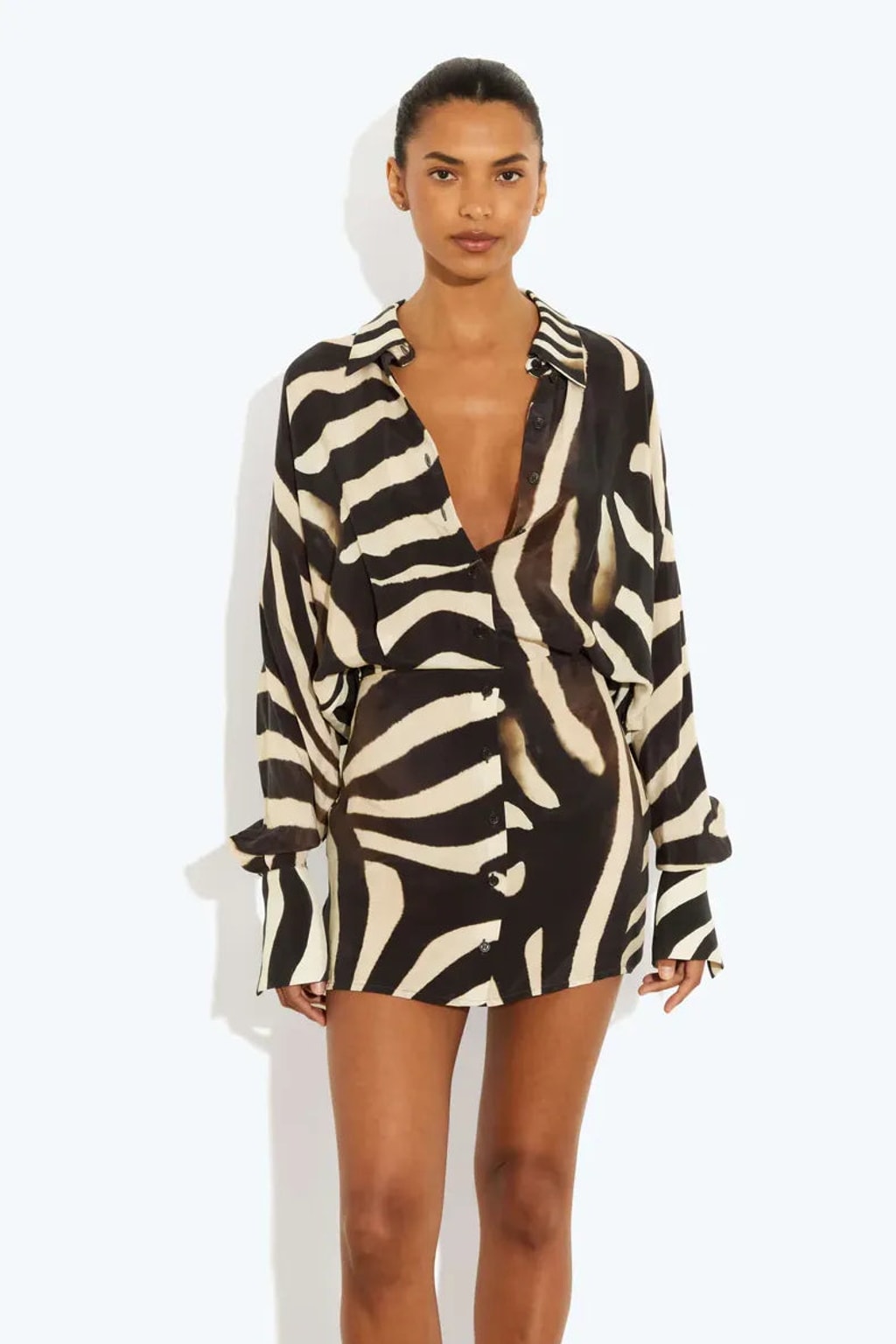 Zebra Print Long Sleeve Mini Dress - 2