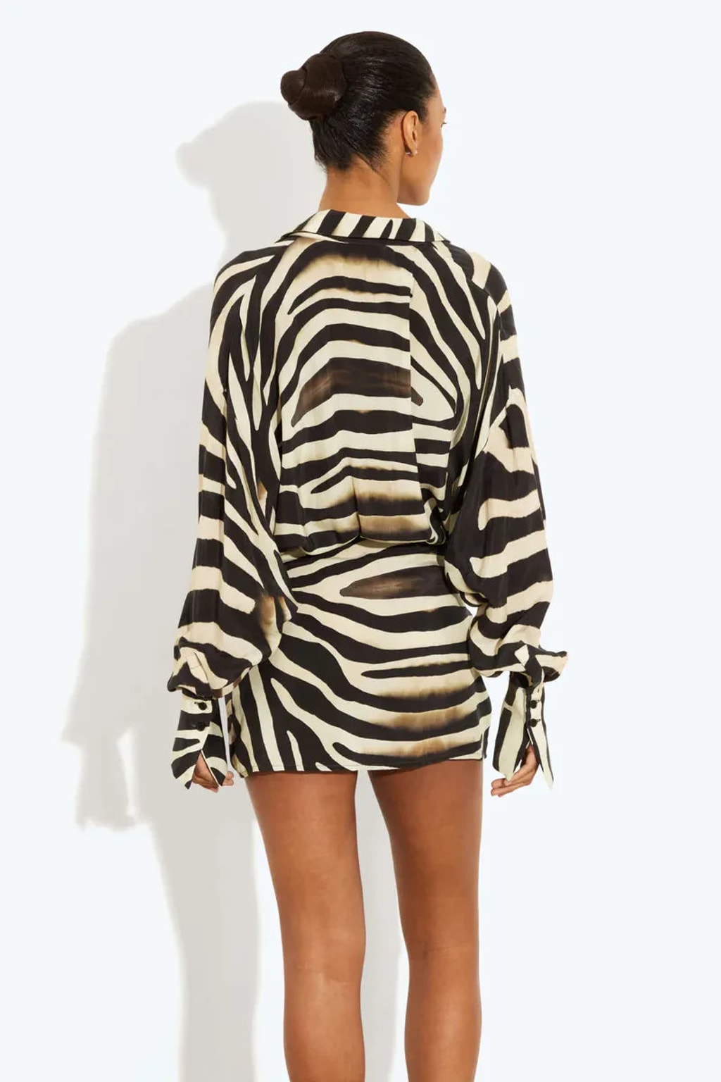 Zebra Print Long Sleeve Mini Dress - 3