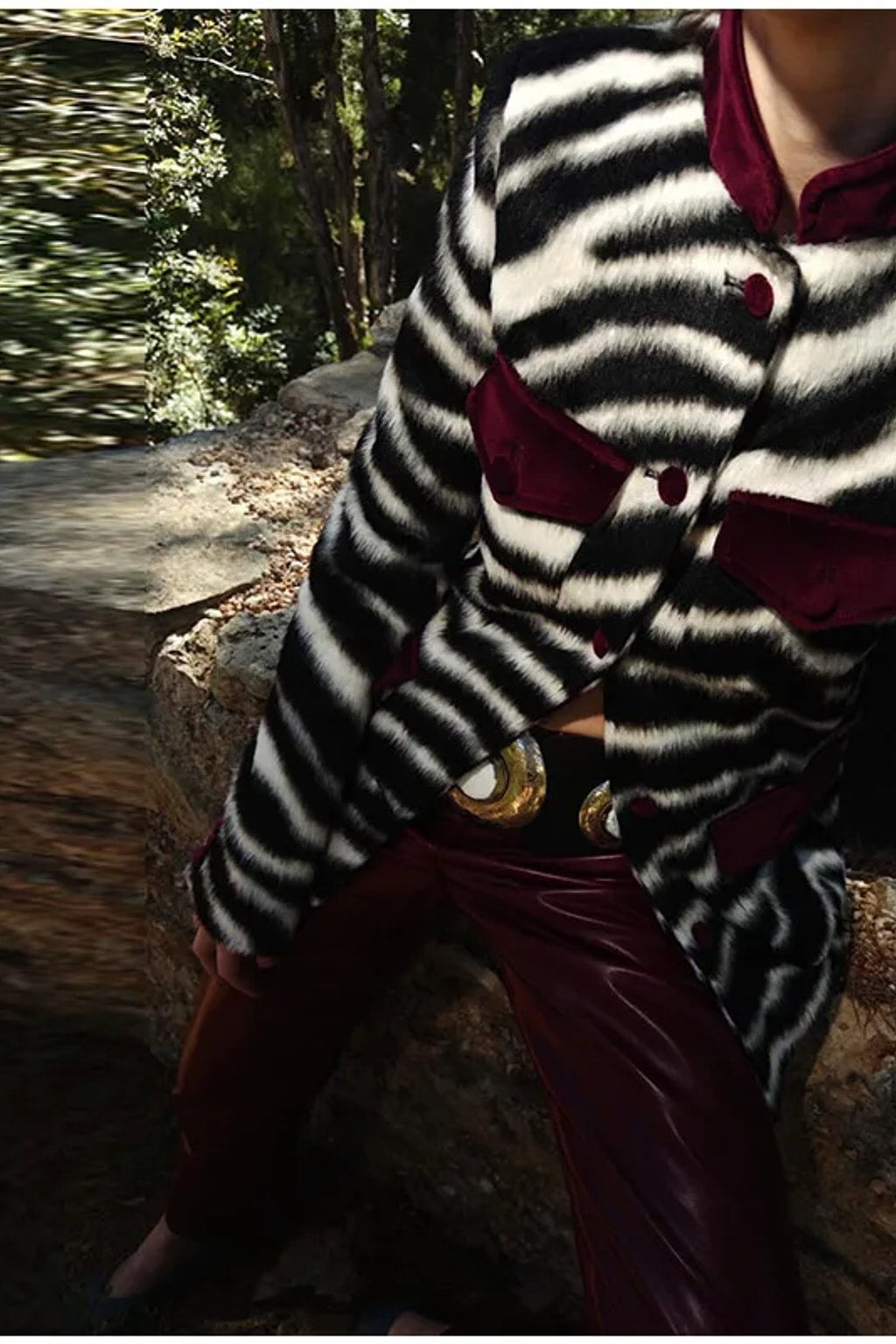 Fitted zebra print faux fur jacket with burgundy velvet stand collar, flap pockets and covered buttons